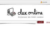 dex online