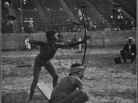 pigmei, 1904, Olimpiada Salbaticilor