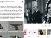 Povestea tragica a randunelelor care au emotionat pana la lacrimi mii de iubitori de animale