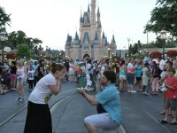 cerere in casatorie, Disney World