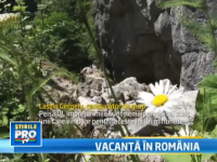 vacanta in Romania