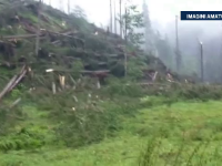 55 de hectare de dezastru natural. O furtuna pe care martorii au numit-o tornada a distrus o padure din judetul Suceava