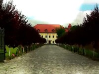 castelul haller