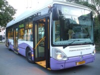 transport public Timisoara