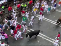 cursa de tauri de la Pamplona