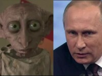 Vladimir Putin si elful Dobby