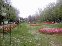 Cel mai mare parc din Ploiesti, ”Constantin Stere”