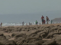 O plaja din Maroc si-a dezvaluit secretele, dupa un tsunami. Urme de dinozauri imprimate in stanca, gasite de specialisti