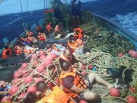 8 morţi şi zeci de dispăruţi, după ce o navă cu turişti s-a scufundat în Thailanda