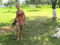 Problemele de care se lovesc românii care vor să meargă cu animalele în vacanță pe litoral
