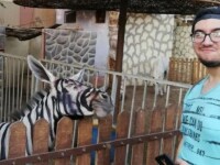 O grădină zoologică a pictat un măgar, ca să pară că e zebră