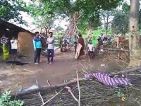 Fetiță de 7 ani ucisă de un elefant, în India