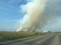 Incendiu pe zeci de hectare lângă Timişoara