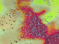 Europa de Vest, lovită de caniculă. Cele mai mari temperaturi din istoria Belgiei
