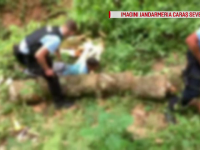 Dosare penale din cauza unor lemne. Cum au fost surprinși trei bărbați din Reșița