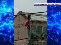 Caz șocant. Un bărbat atacat de un babuin a căzut de pe o clădire cu patru etaje