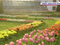 Grădinile botanice, oaze de liniște în mijlocul orașelor. Tot mai mulți români le vizitează