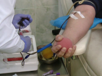 Spitalele din Iași au rămas fără plasmă. Studenții la Medicină au început o campanie de donare de sânge