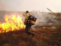 Incendiile de vegetație din California se extind rapid spre zonele locuite