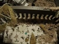 Momentul în care un copac cade pe acoperișul unei case deasupra pătuțului unui bebeluș. VIDEO