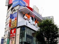 O pisică 3D uriașă a apărut pe un panou publicitar în Tokyo. GALERIE FOTO