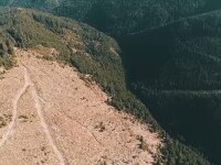 Un deputat PSD vrea modificarea legii pentru a se putea construi în aproape orice zonă montană cu o condiție