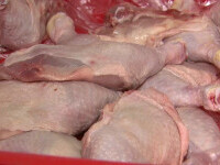 Zeci de tone de carne de pui cu salmonella ajung în România din Polonia. Cum ne ferim de intoxicație