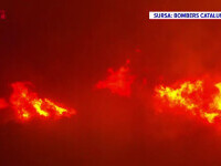 Incendii de vegetație în Spania. În Catalonia au ars peste 400 de hectare de Parc Național