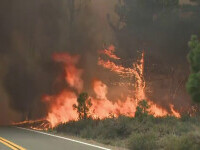 Incendii de vegetație grave în California. Suprafața arsă e dublă față de anul trecut