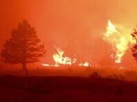 Incendii majore de vegetație în vestul SUA. Sunt cel puțin 16 focare