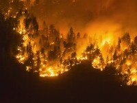 VIDEO. Incendiile fac prăpăd în Canada. Autoritățile au decretat stare de urgență în vestul țării