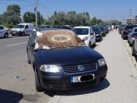 Un turist a venit la Mamaia cu carpeta de acasă în loc de parasolar