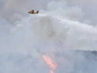 Incendiu devastator în Grecia. Cinci elicoptere şi cinci bombardiere cu apă au intervenit de urgență