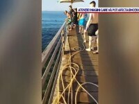 Româncă atacată și ucisă de rechin în Egipt. Toate plajele din regiune sunt închise
