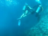 Români la scuba diving și snorkeling în Hurghada, Egipt - VIDEO