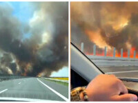 Incendiu de vegetație izbucnit lângă autostrada A1 Timișoara-Lugoj. Fumul gros i-a pus în dificultate pe șoferi