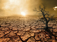 Avertisment pentru România: 70% din țară suferă de secetă. Unele zone sunt afectate de inundații din cauza crizei climatice