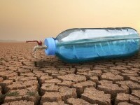 13 metode prin care putem reduce consumul de apă. Nu face duș zilnic și axează-te pe axile și zonele intime