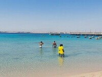 Unele plaje din stațiunea egipteană Hurghada au fost redeschise. Turiștii spun că în zonă sunt în continuare rechini. FOTO