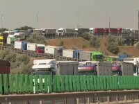 România face față cu greu transporturilor uriașe de cereale din Ucraina. Coadă kilometrică de camioane în Constanța