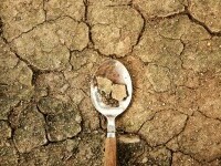 Italia se teme pentru resursele de apă și mâncare. Primar: „Trebuie să ne pese tuturor”