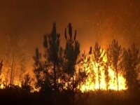 Europa se confruntă cu al doilea val de caniculă. Incendiile fac ravagii în Portugalia