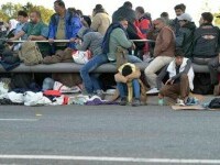 Val de refugiați așteptat în Uniunea Europeană. Avertismentul comisarului comisarul Ylva Johansson