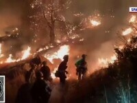 Incendiile de vegetație continuă să facă ravagii în Europa. „Este a patra oara când suntem afectați de incendiu”