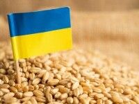Primul transport de cereale din Ucraina de la începutul invaziei ruse suferă întârzieri din cauza vremii nefavorabile