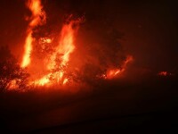 Incendiile de vegetație cuprind Grecia în nord, sud și est. Experții avertizează oamenii și guvernele lumii