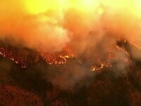 Stare de urgență în California. Sute de pompieri se luptă fără speranță cu flăcările în rezervația Yosemite