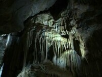 Belgienii se refugiază de caniculă în peșteri. Temperaturile de aici nu depășesc 10 grade