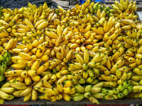 Ce culoare au bananele care pot preveni cancerul. Substanța benefică se găsește și în alte alimente