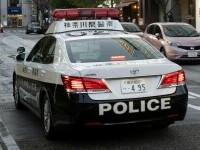 Politie Japonia